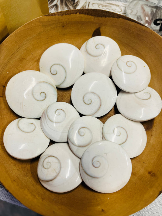 Shiva shells