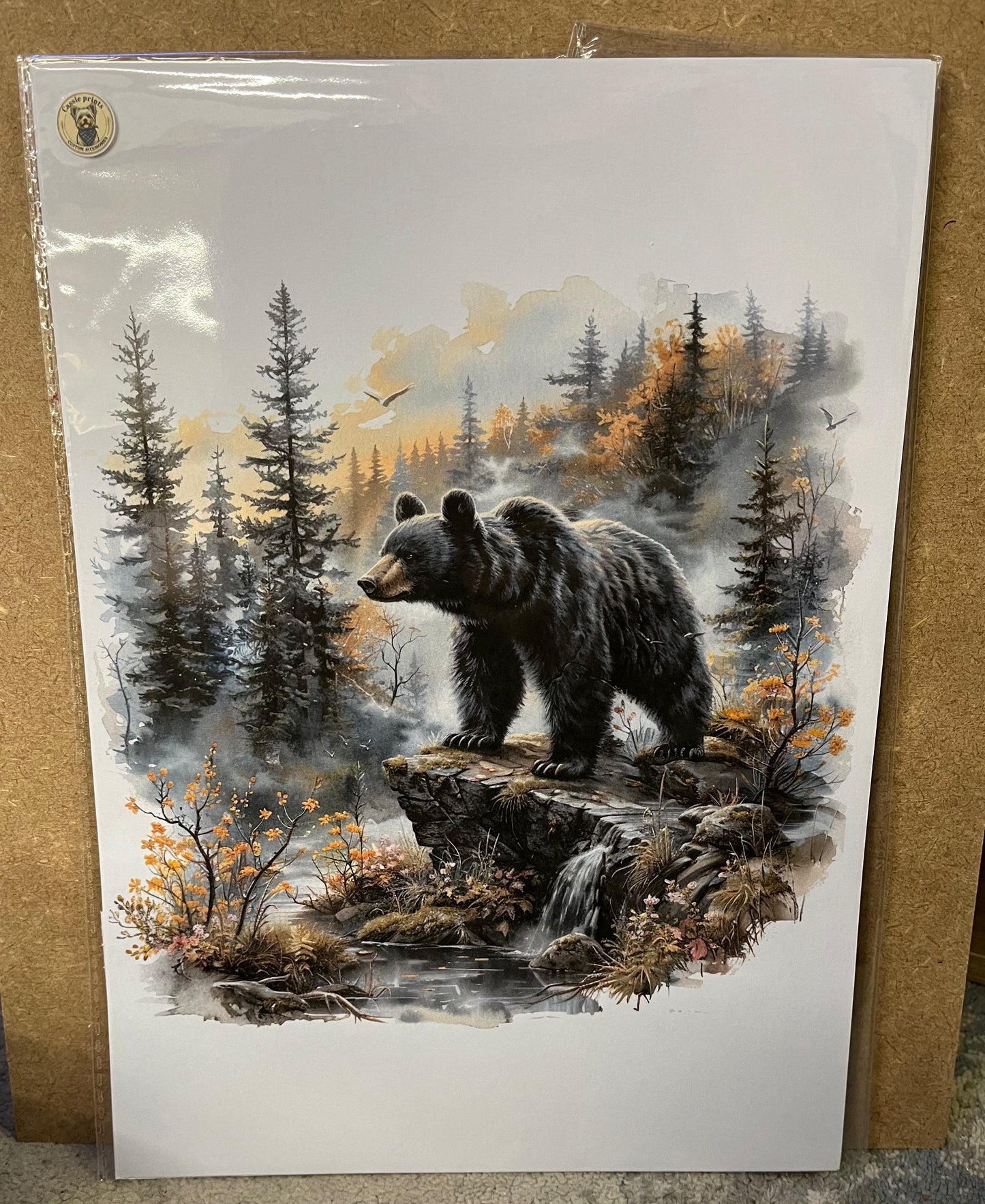 Bear prints