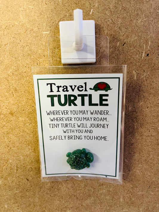 Pocket hug turtle 🐢