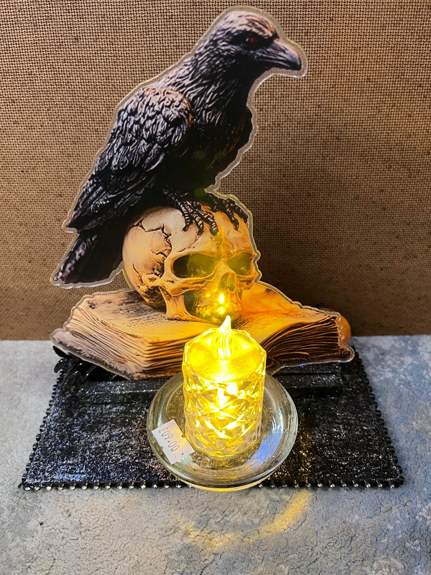 Skull and Crow Display