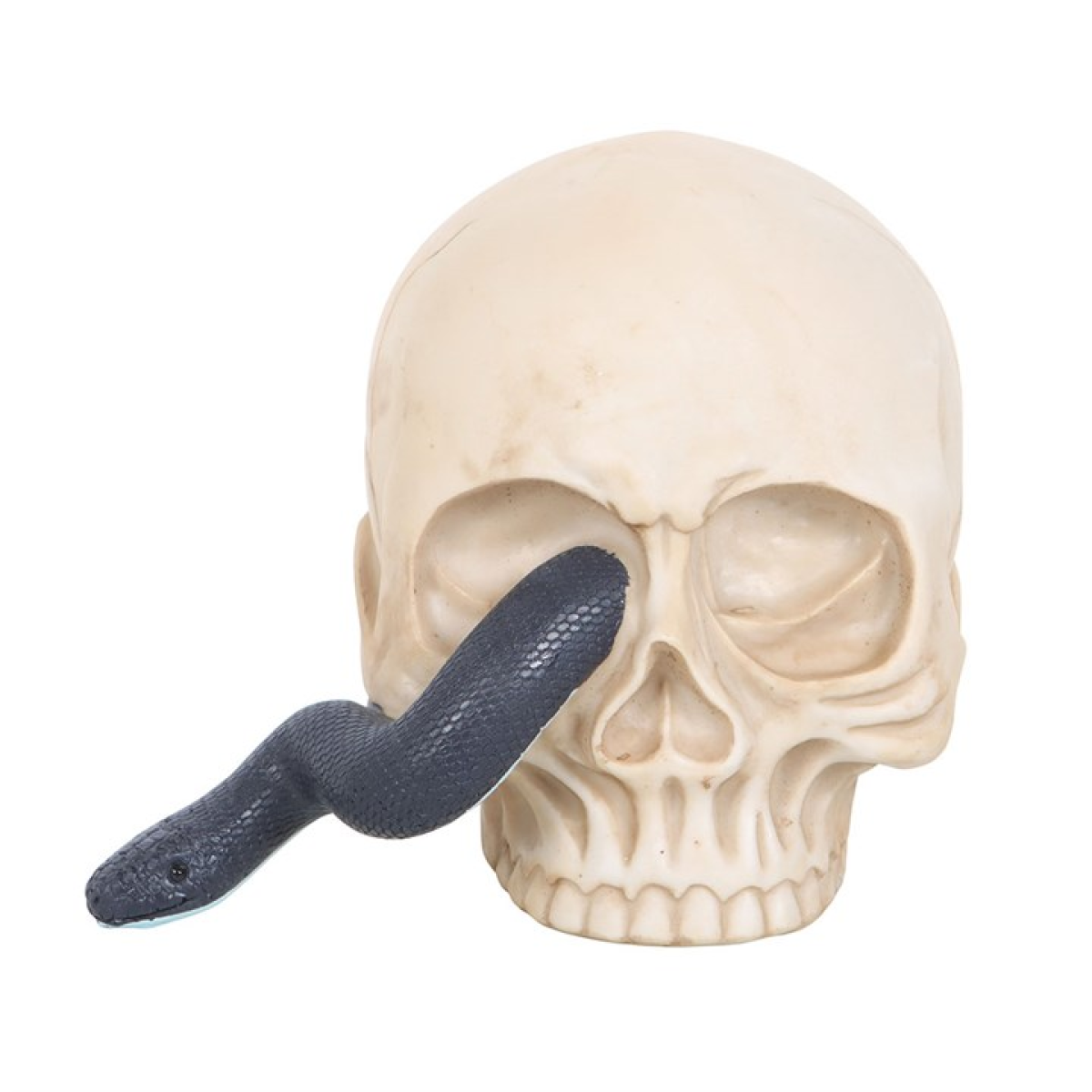 Skull Ornament with Snake