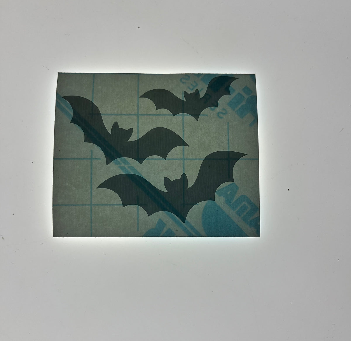 Bats Vinyl Decal