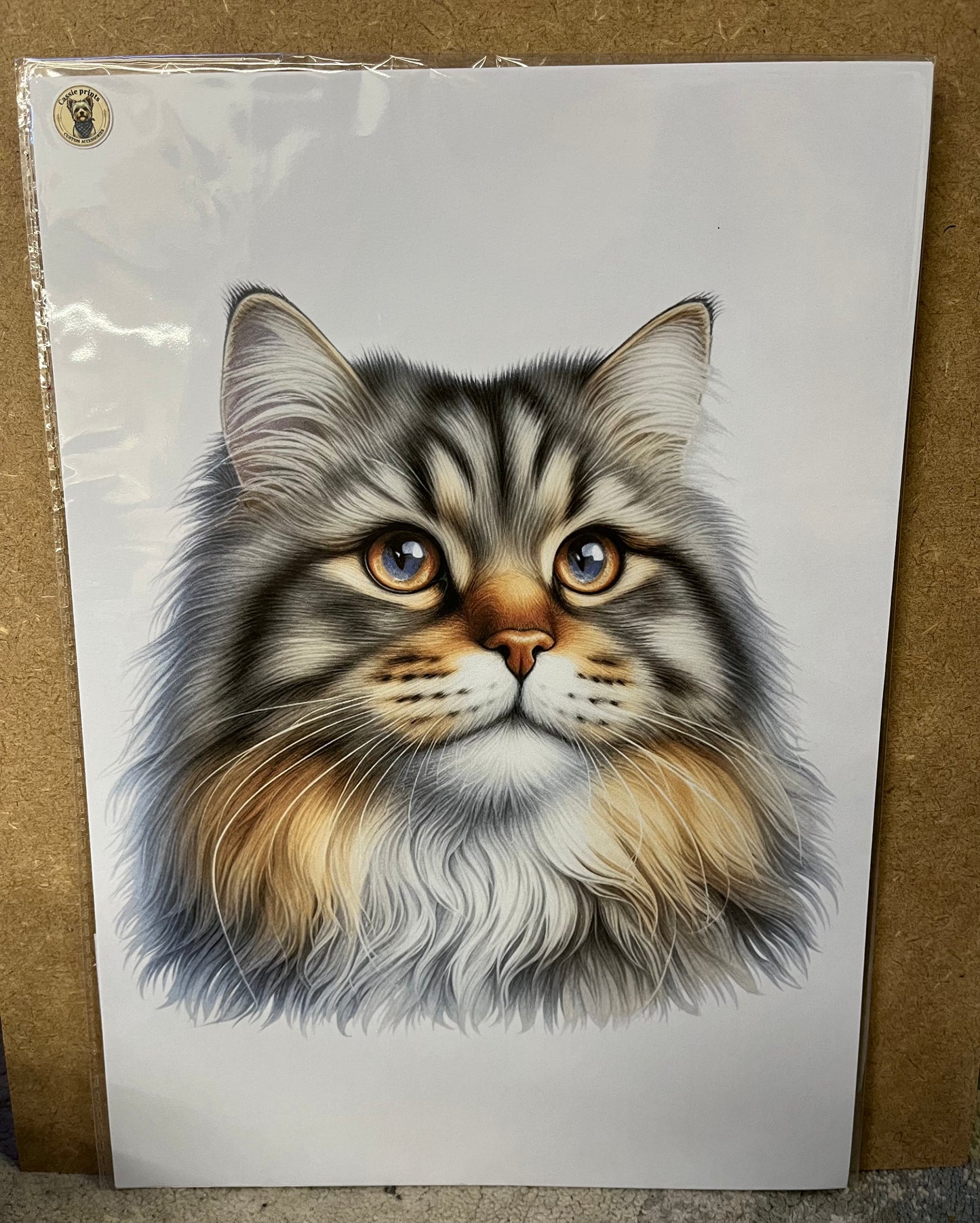 Cat prints