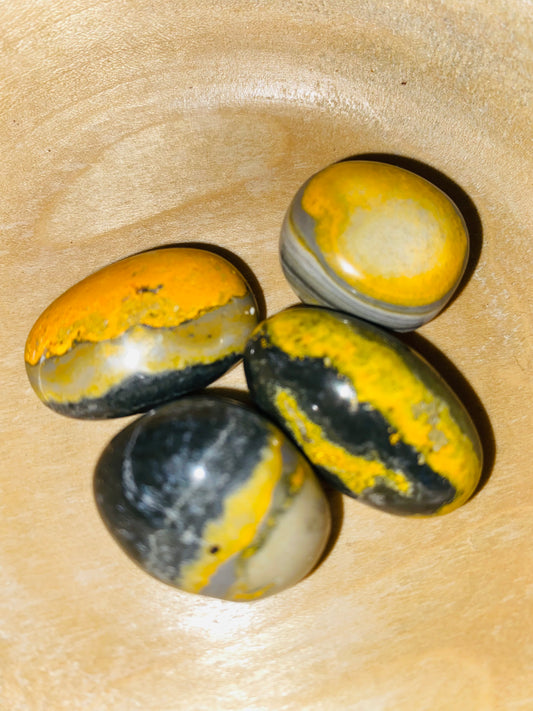 Bumble bee Jasper tumbles