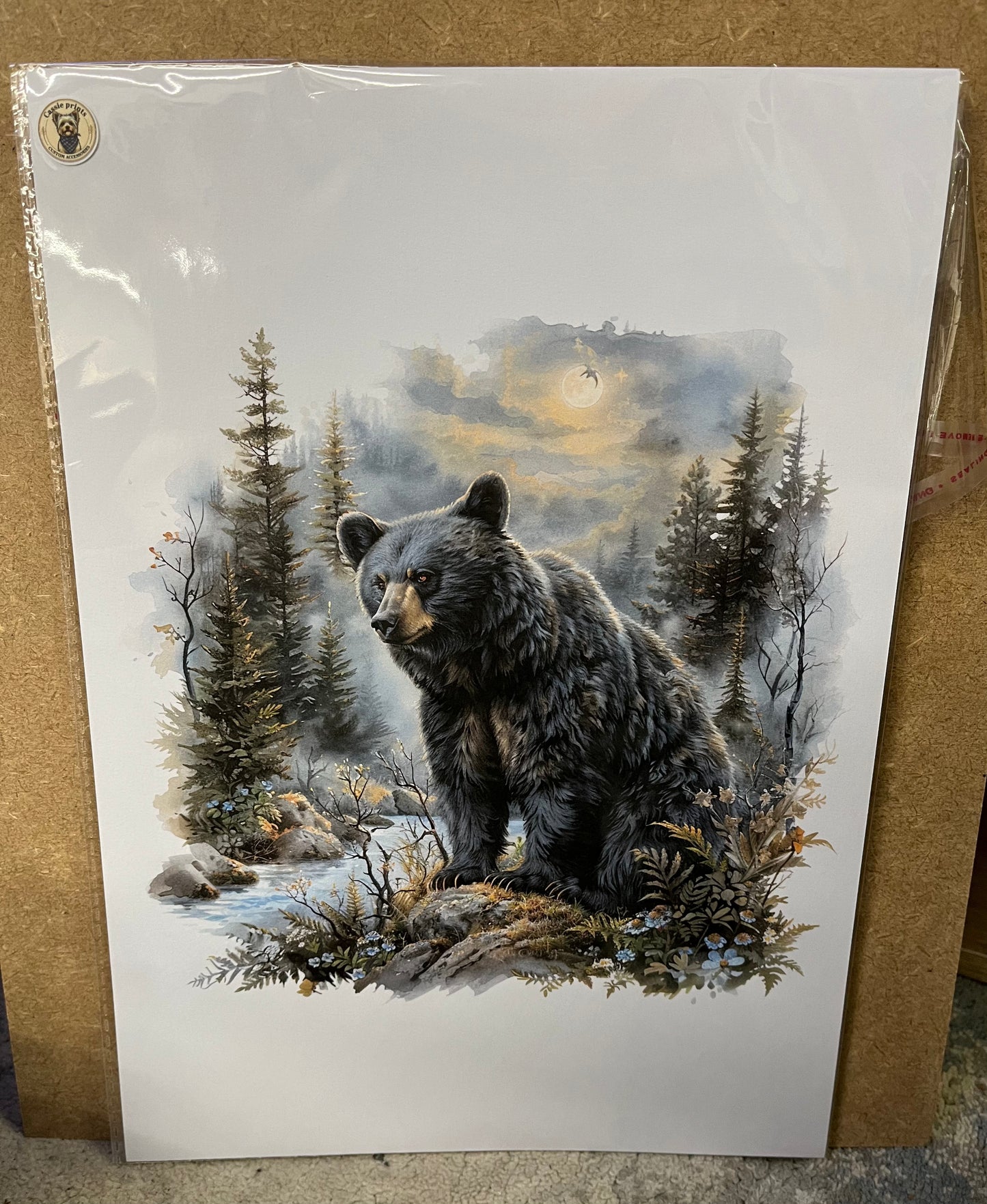 Bear prints