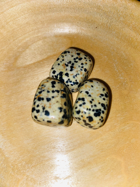 Dalmatian Jasper tumbles