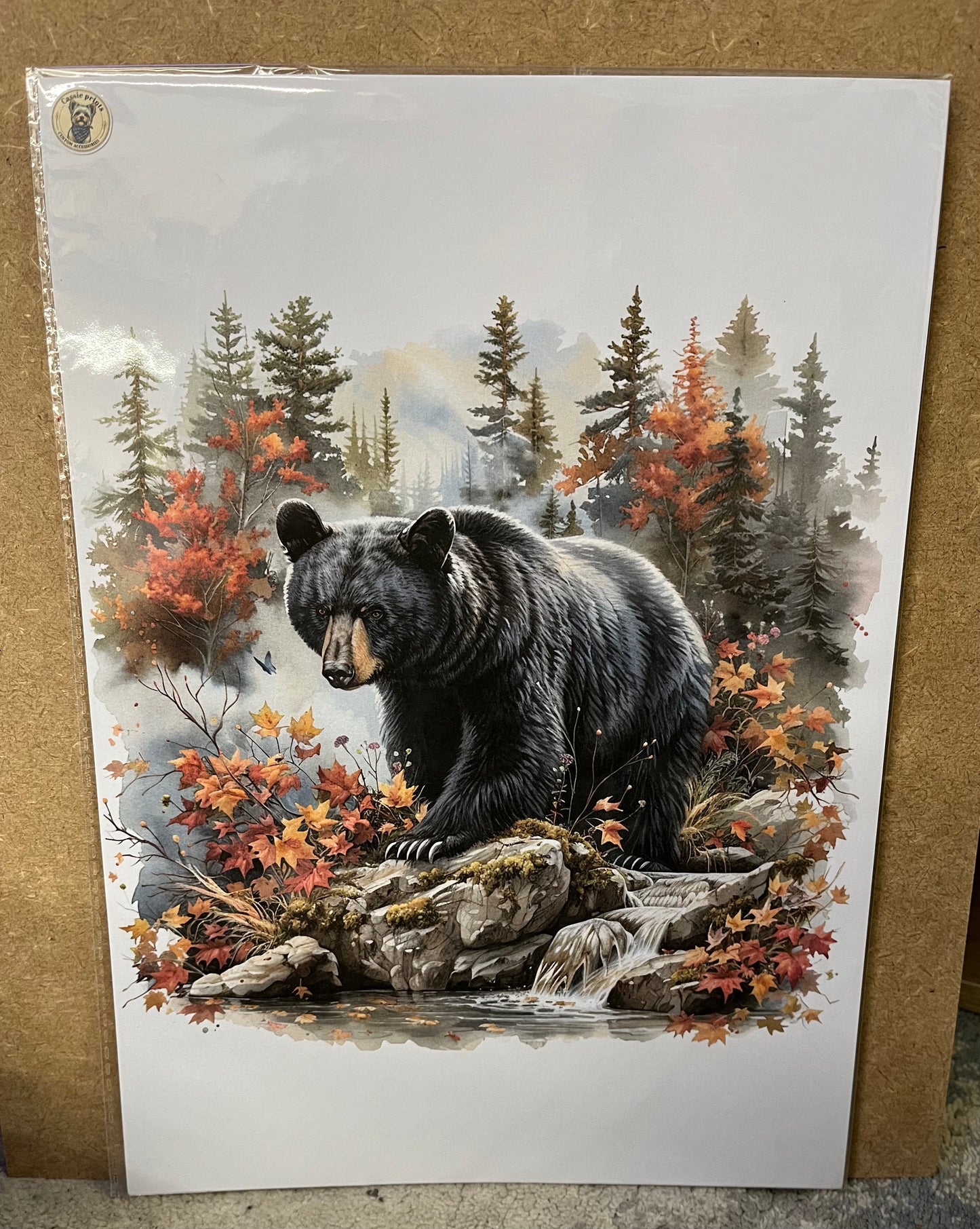 Bear prints