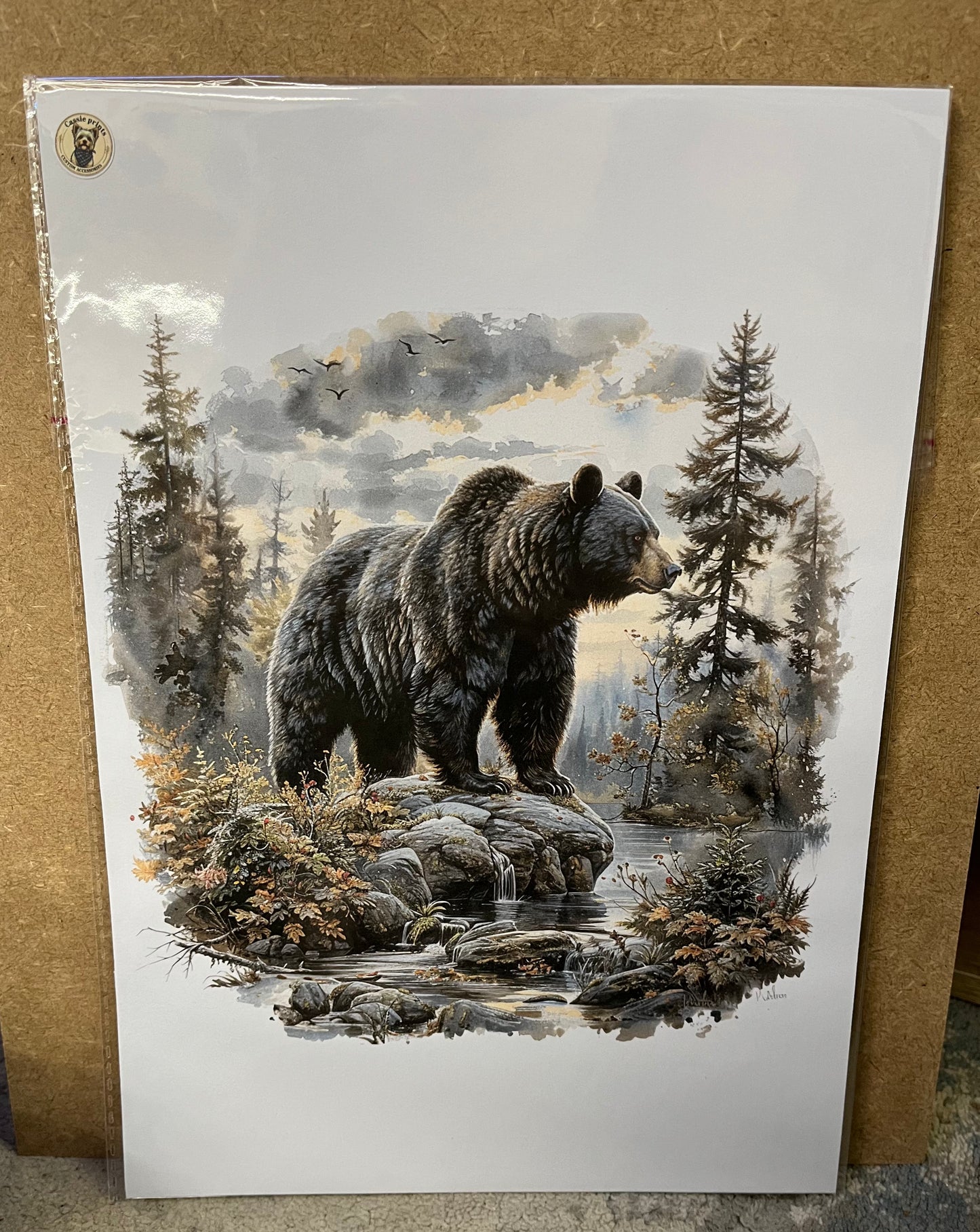Bear prints