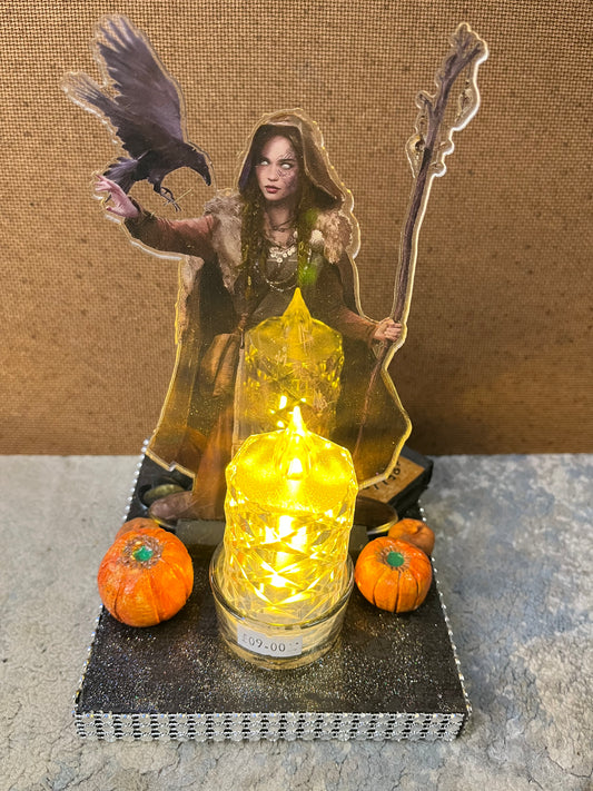 Crone witchy display