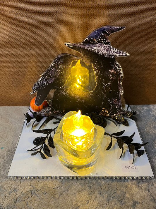 Witch & Crow display